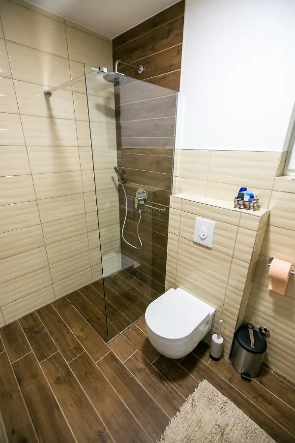 Apartment Elis Pula 0*,